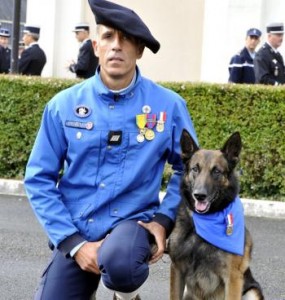 «Boomerang», le chien héroïque des gendarmes, a reçu la médaille du courage
