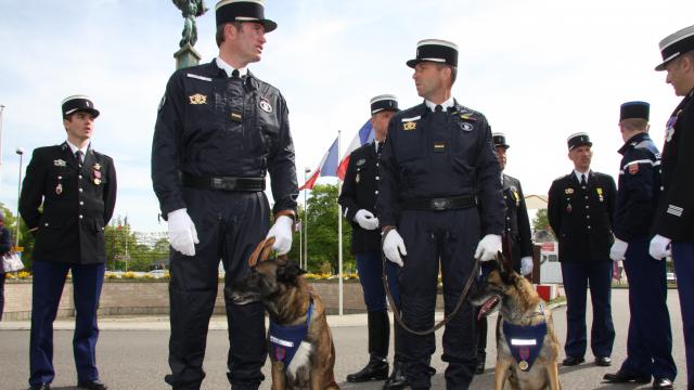 dans-lorne-candy-et-diego-des-chiens-gendarmes-decores-lors-du-8-mai_1