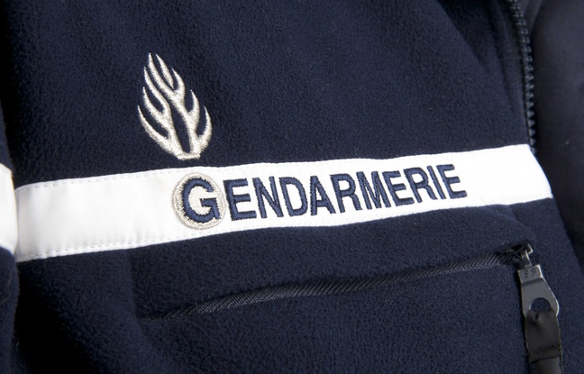 648x415_illustration-gendarmerie (1)